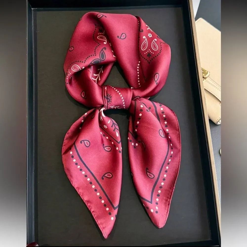 Paisley burgundy Scarf A1593